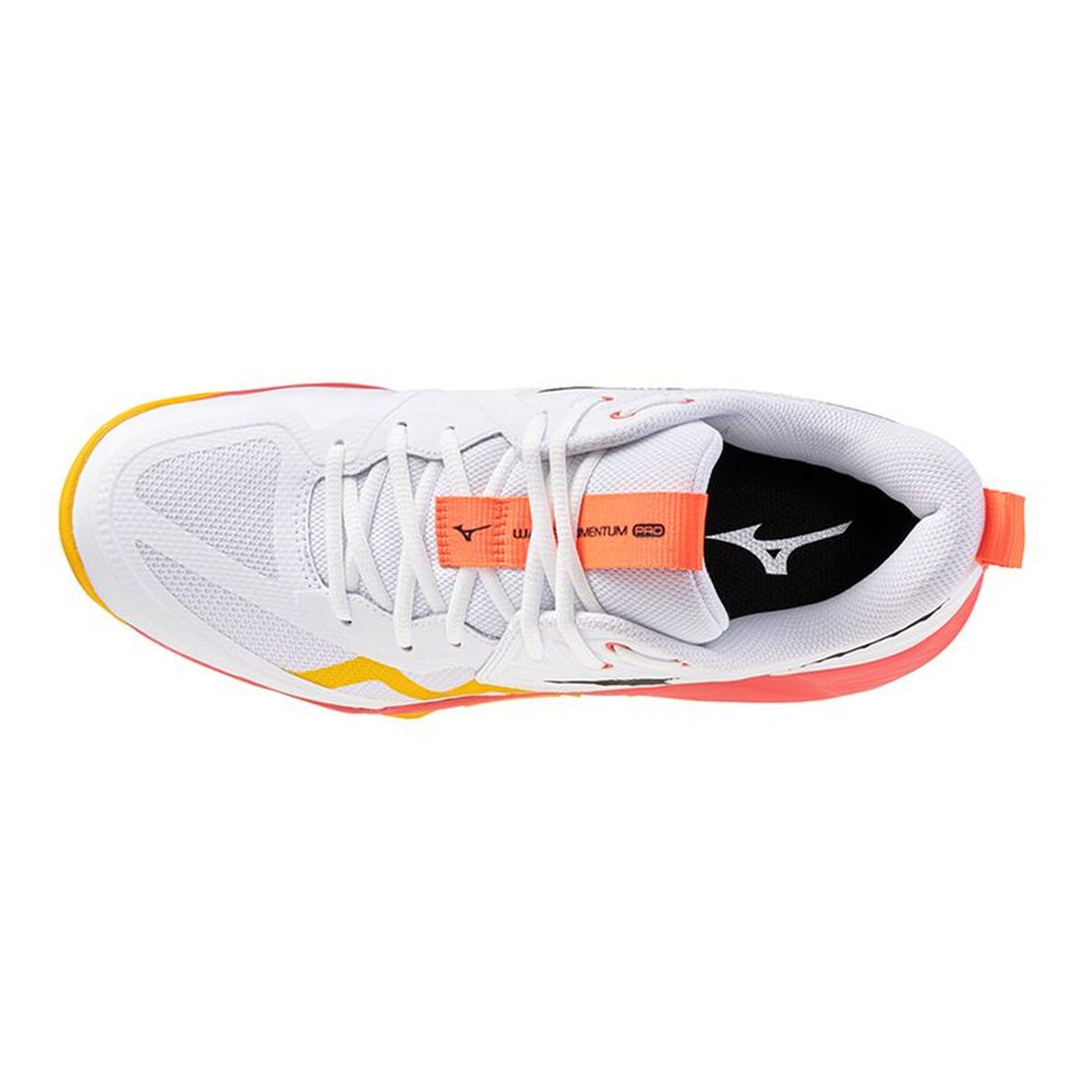 V2H000C25C703567363F2459D4D9C8404CCR7621659P3